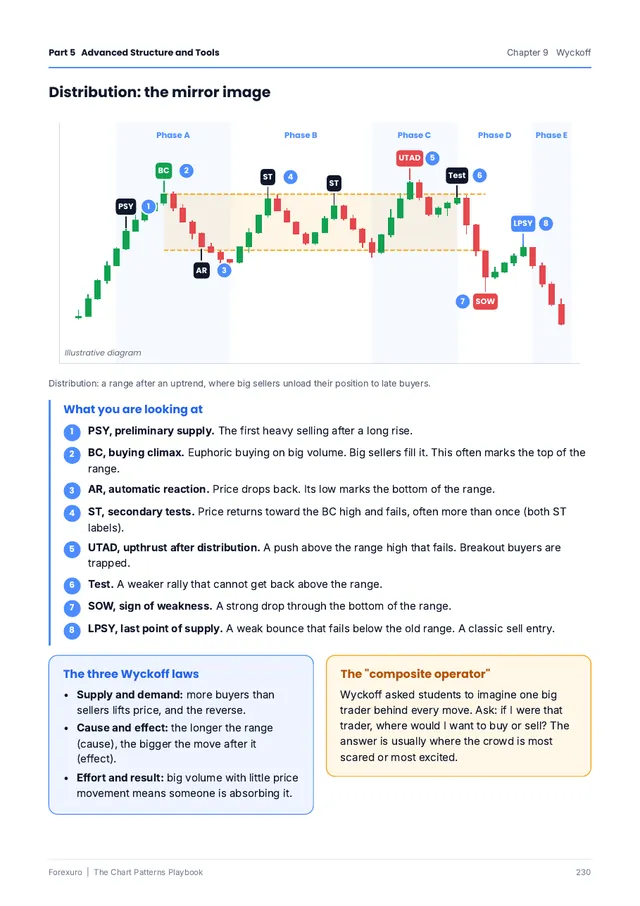 Sample page: Wyckoff distribution explained with an annotated chart